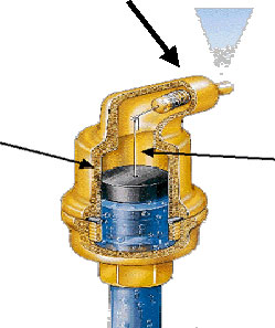 Spirotop